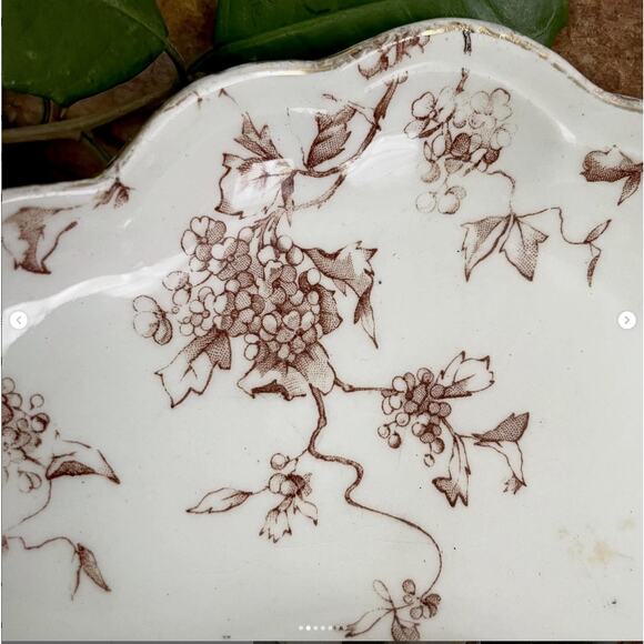 Vintage Ironstone Bone Dish Brown Transferware Royal Ridgeway Waverly England - Picture 2 of 7